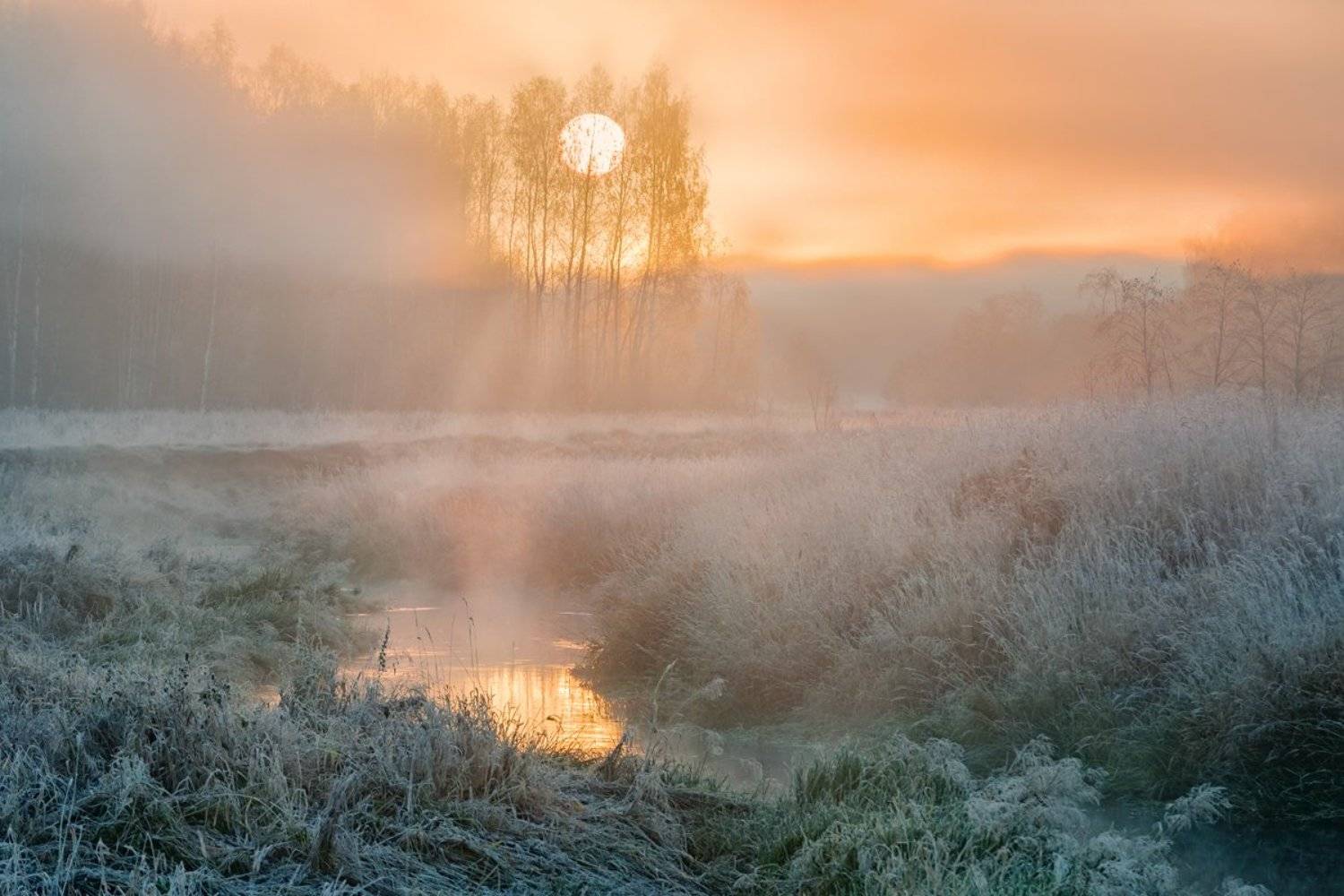 , Евгений Ерохин