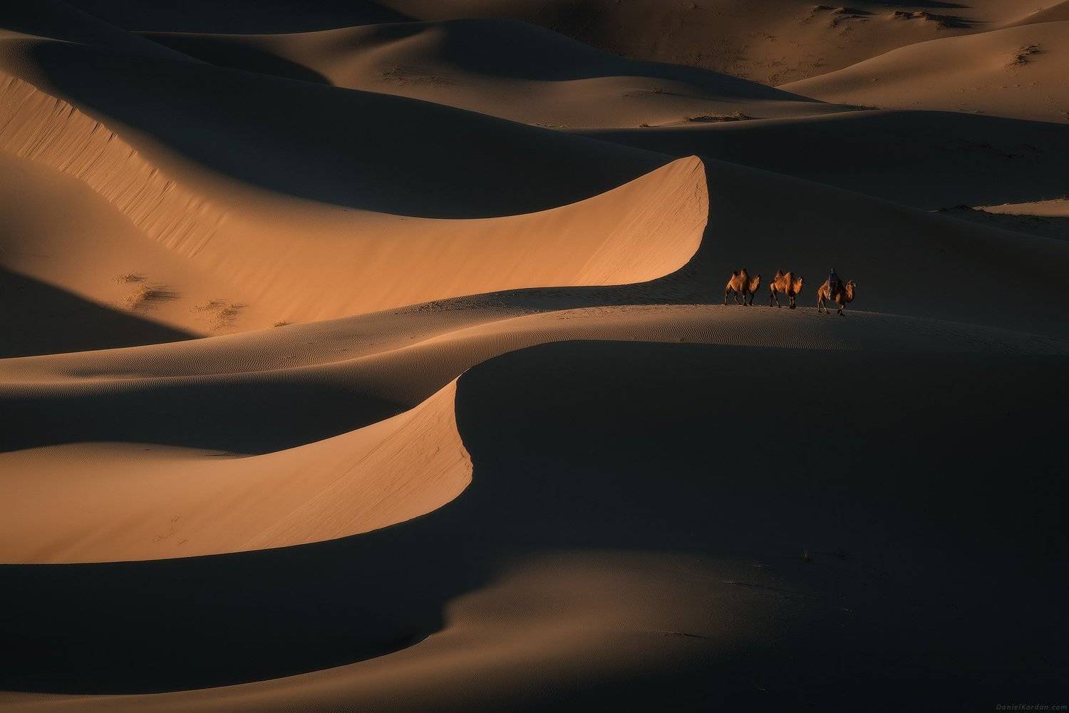 Монголия, Даниил Коржонов