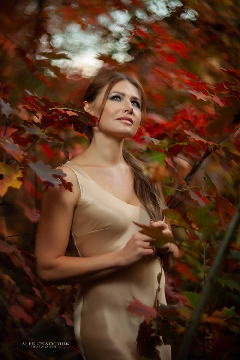 , александр осадчук