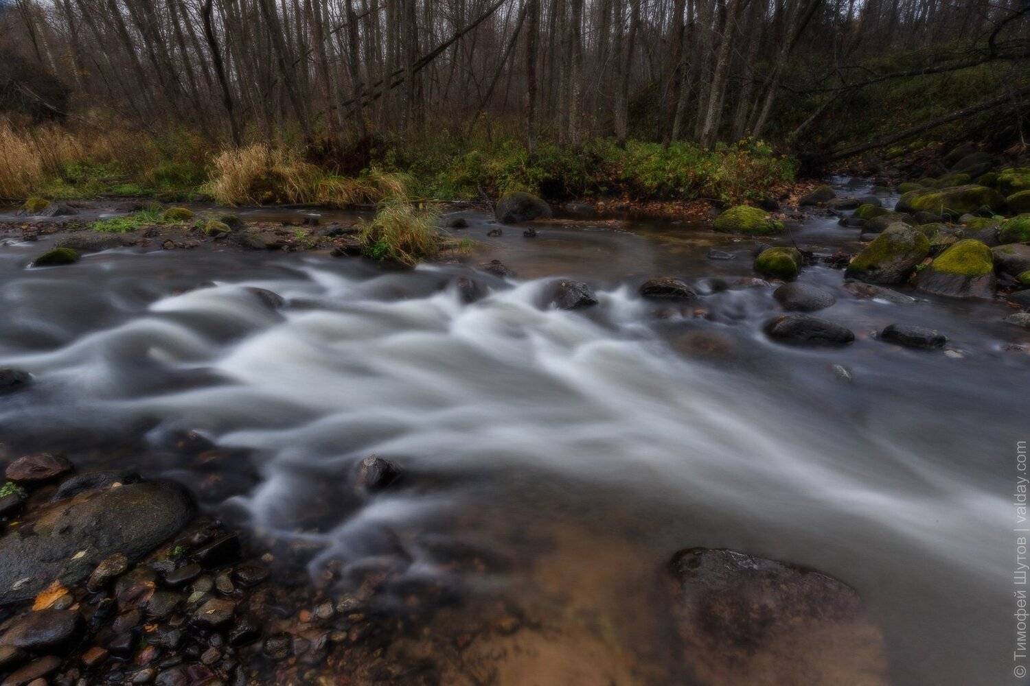 валдай, Тимофей Шутов