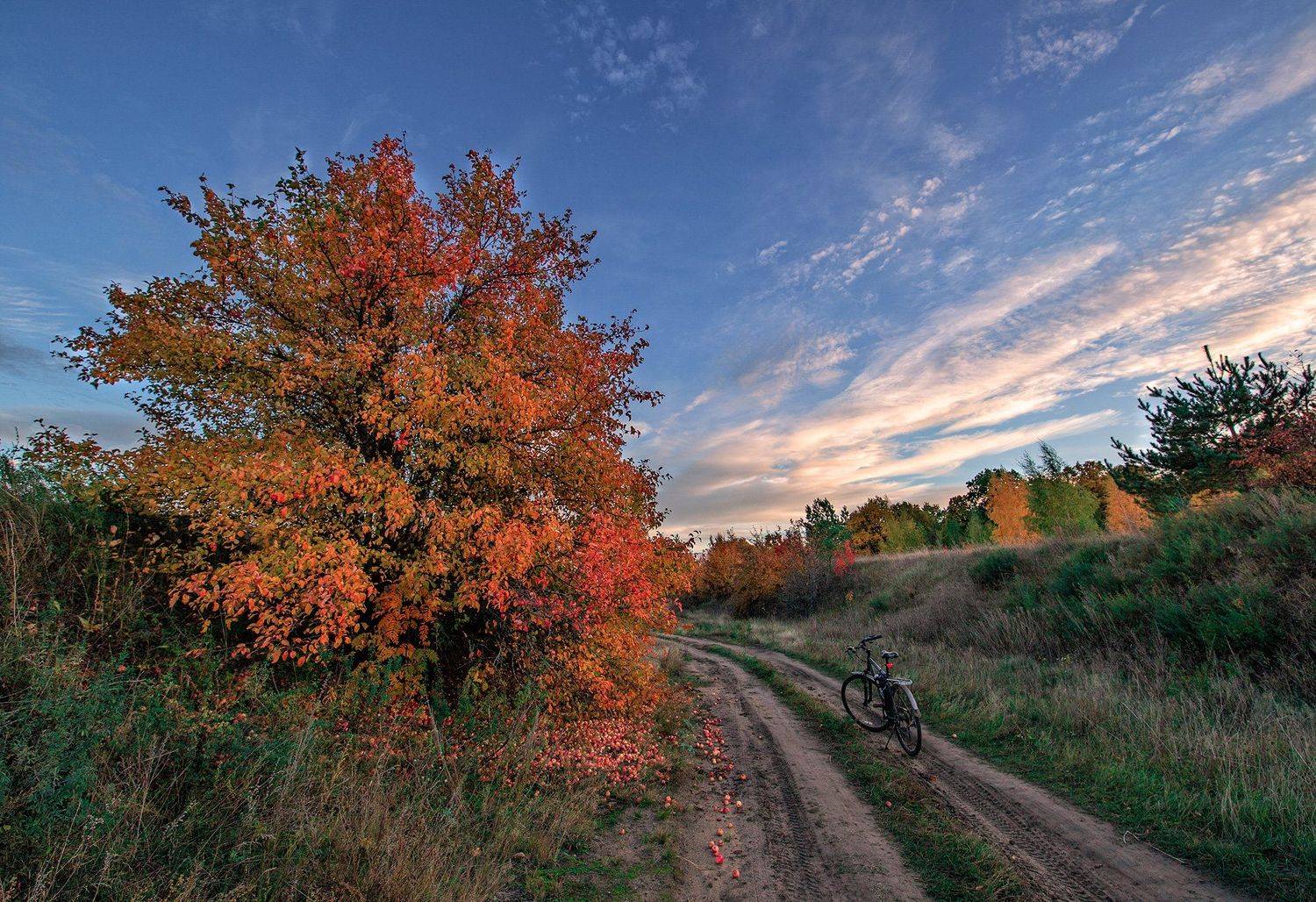 пейзаж, осень, Артемий Тузов