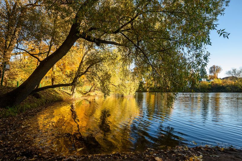 Осень фото превью