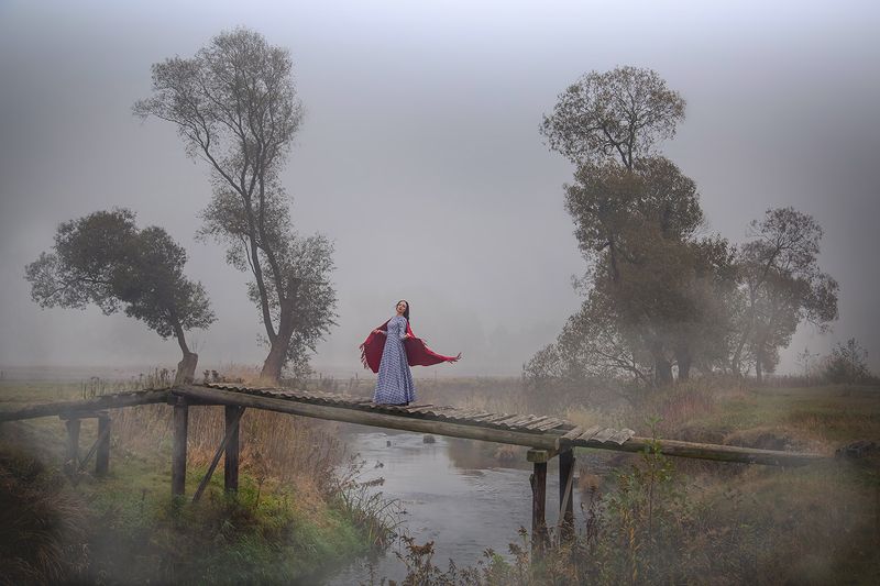 Fog фото превью