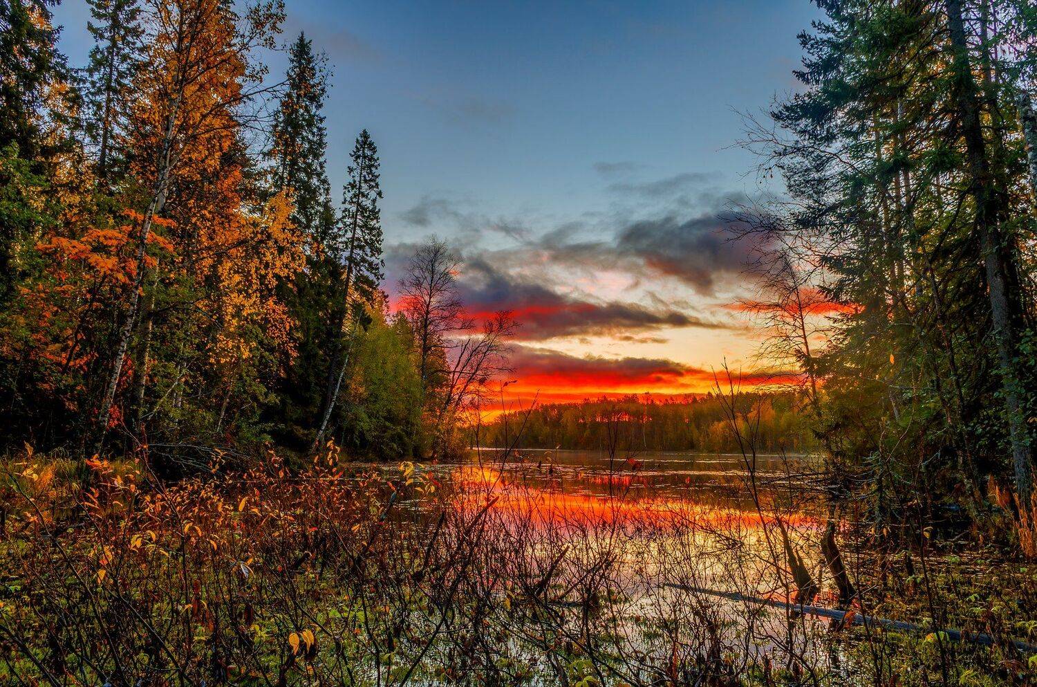 , Олег Авдеев