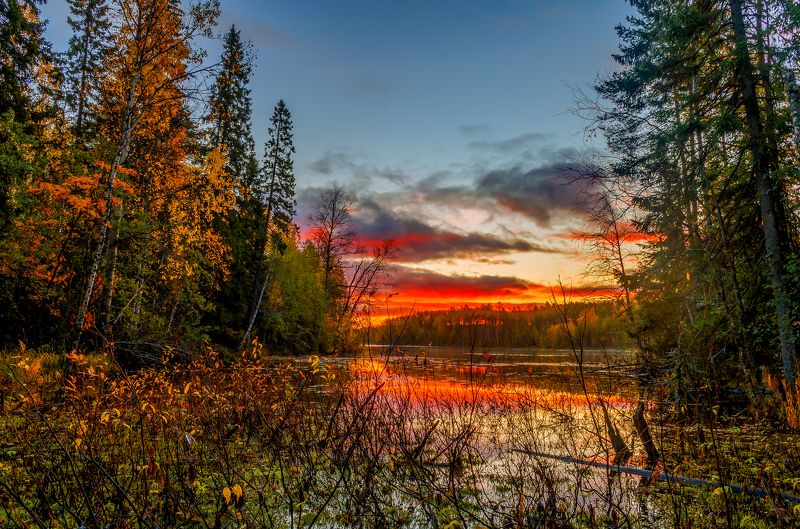 *** фото превью