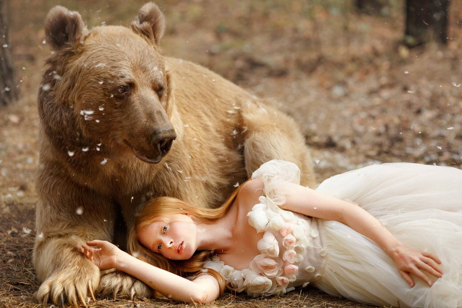 нежность, Светлана Никотина