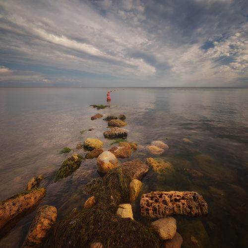 На берегу Крыма