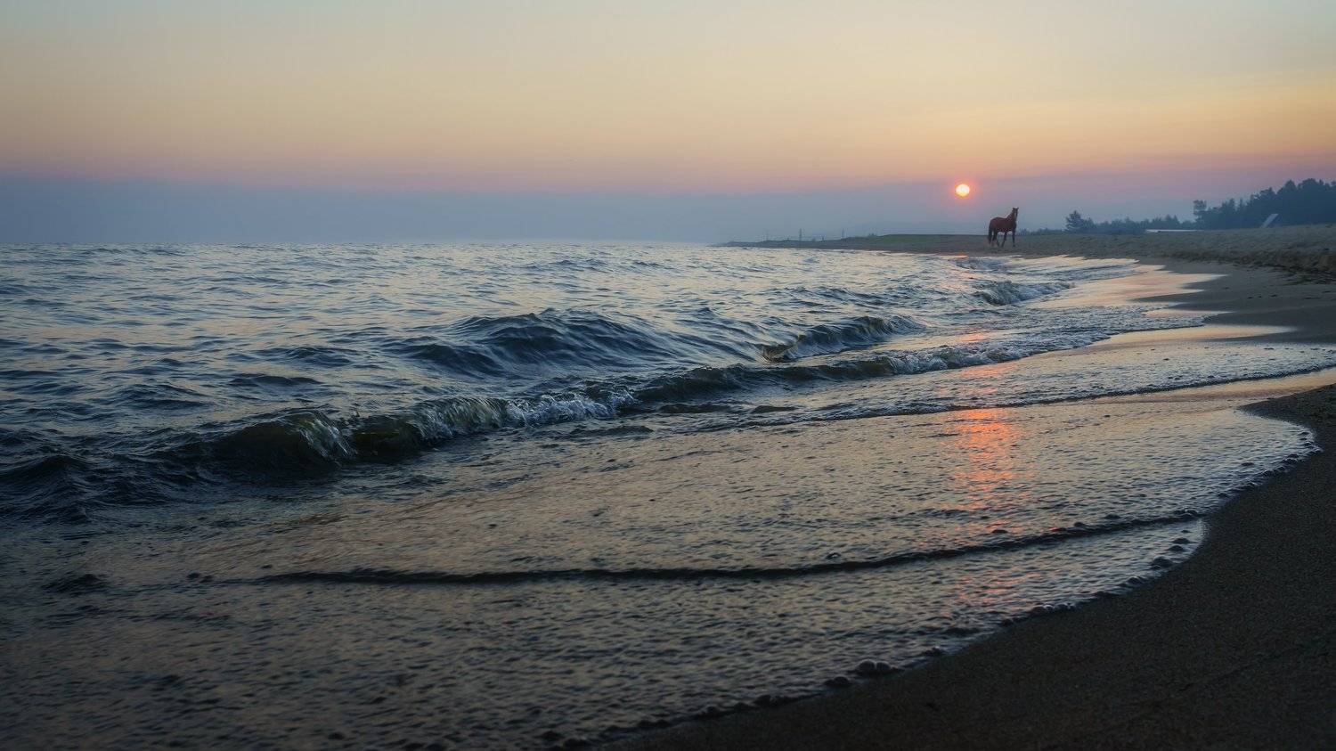 россия, сибирь, байкал, прибой, утро,восходящее солнце,конь,дымка,песок,russia, siberia, baikal, surf, morning, rising sun, horse, haze, sand, Сергей Козлов