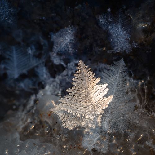 Зимнее украшение Охотского моря