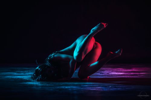 Dance et Tempore series.