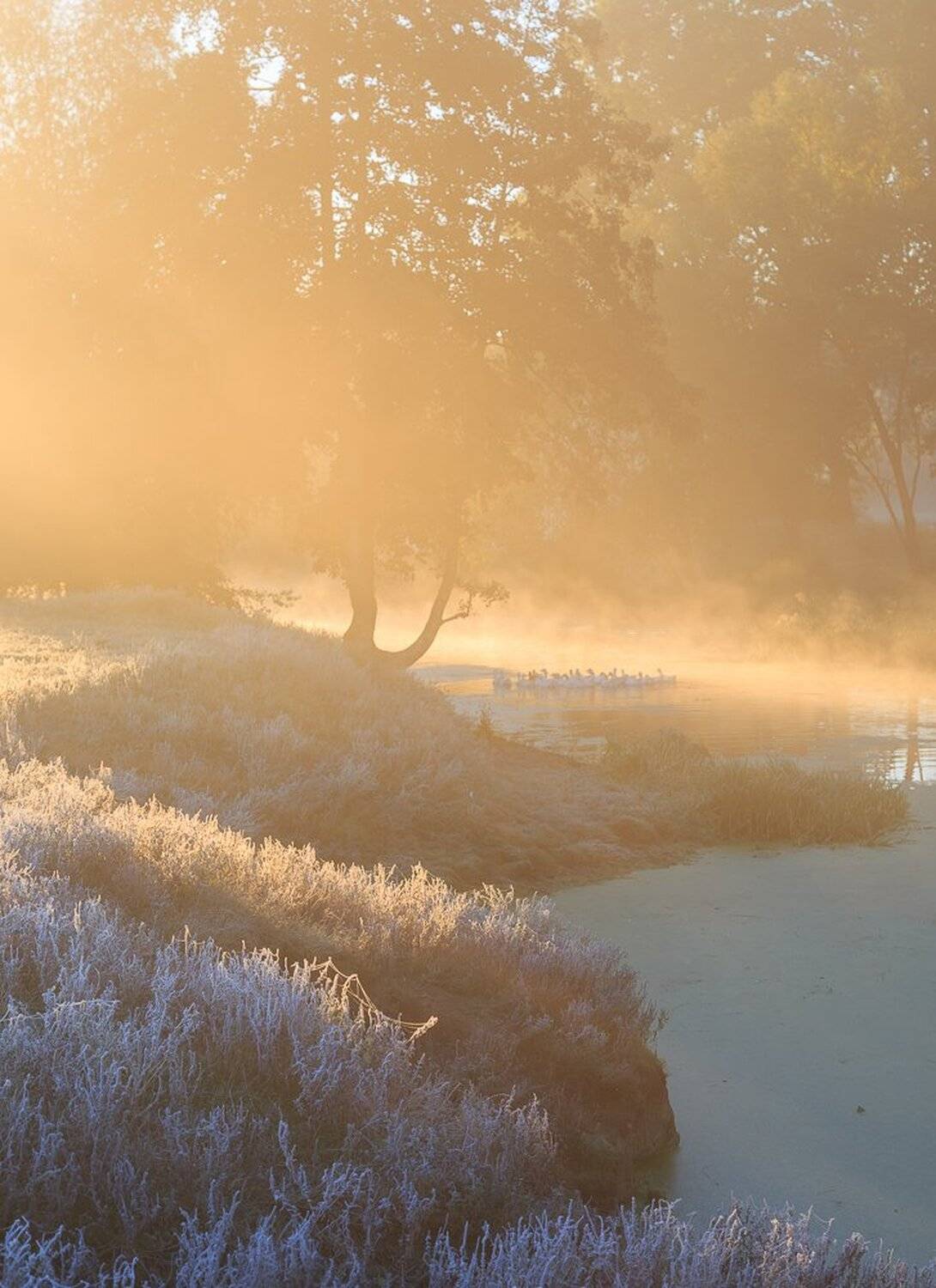 , Александр Подрез
