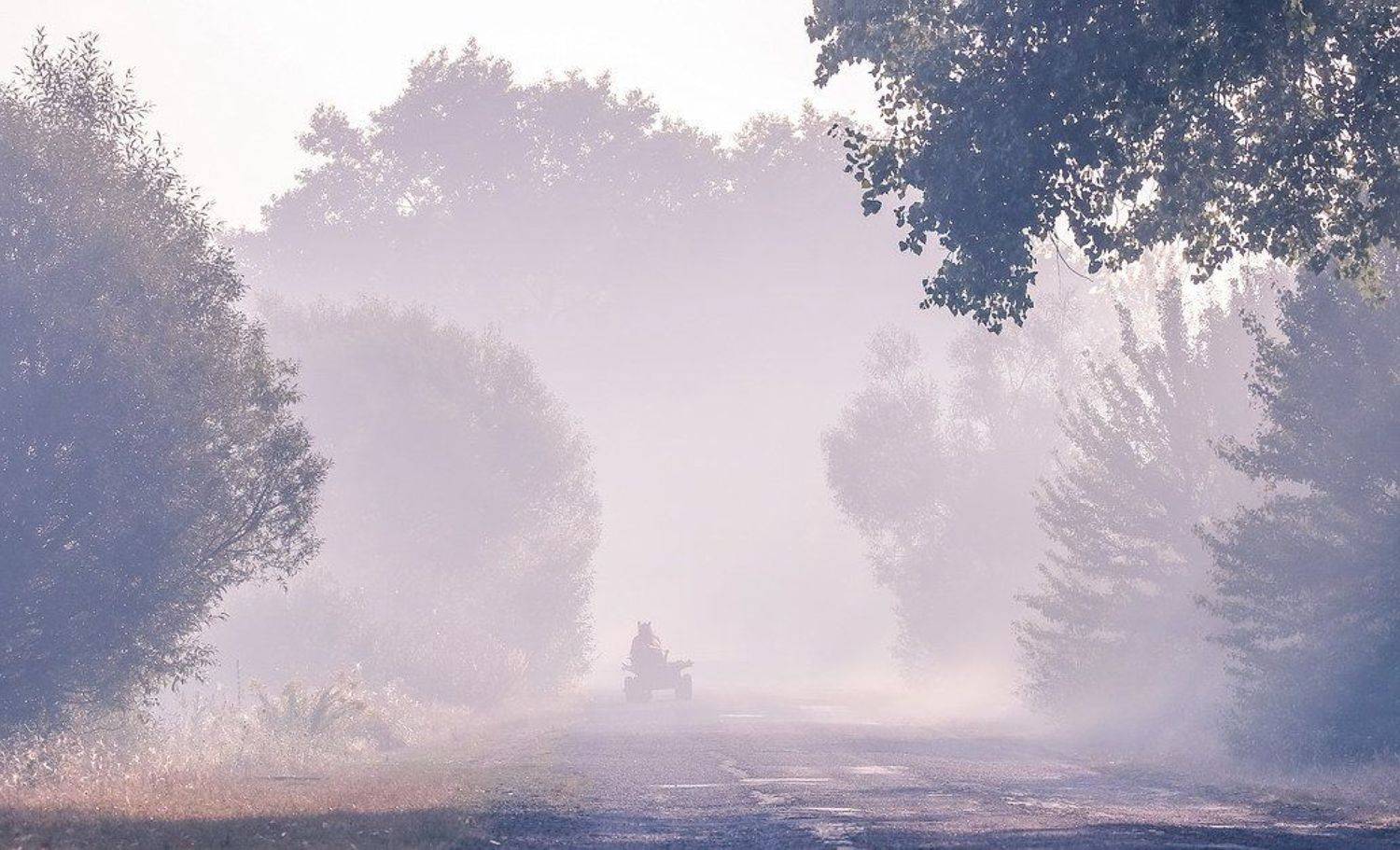 , Вячеслав Мищенко