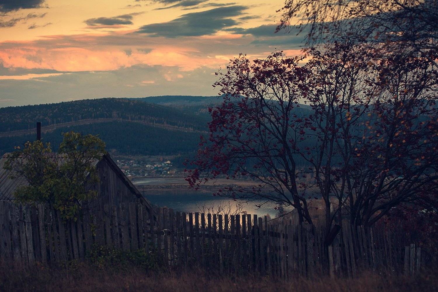 , Евгений Толкачёв