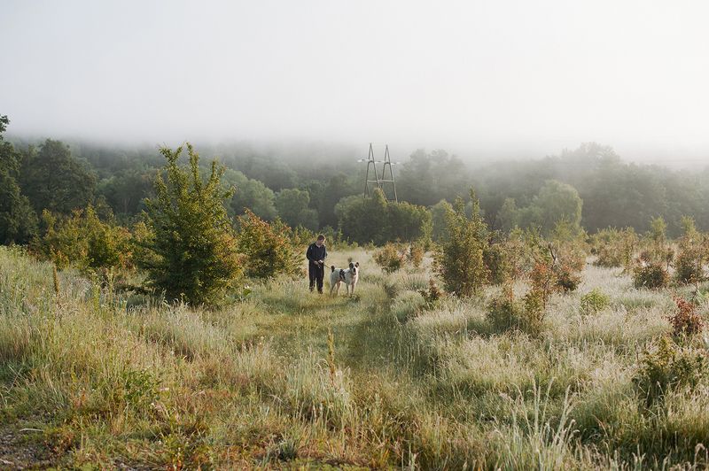 Вместе весело шагать фото превью