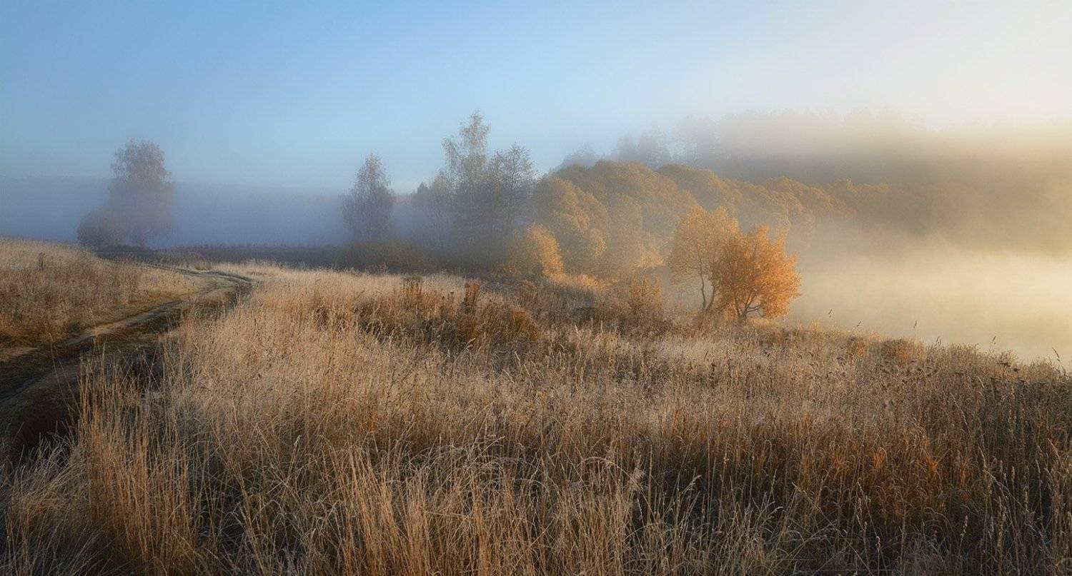, Анатолий Зверев