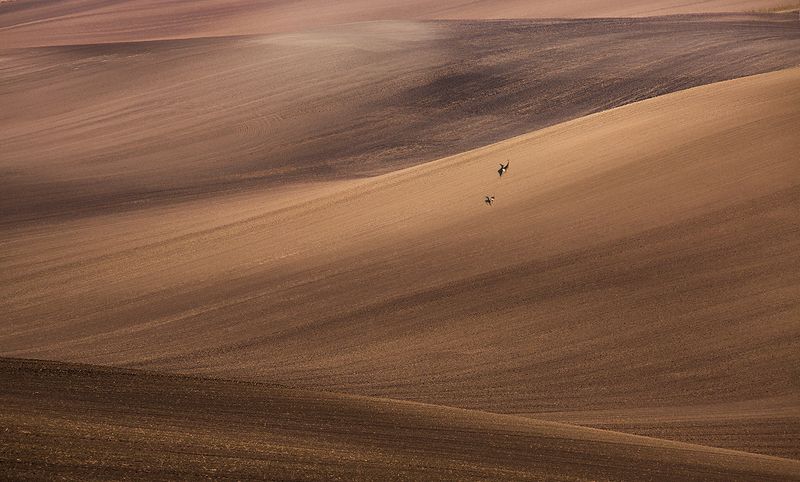 Moravia фото превью
