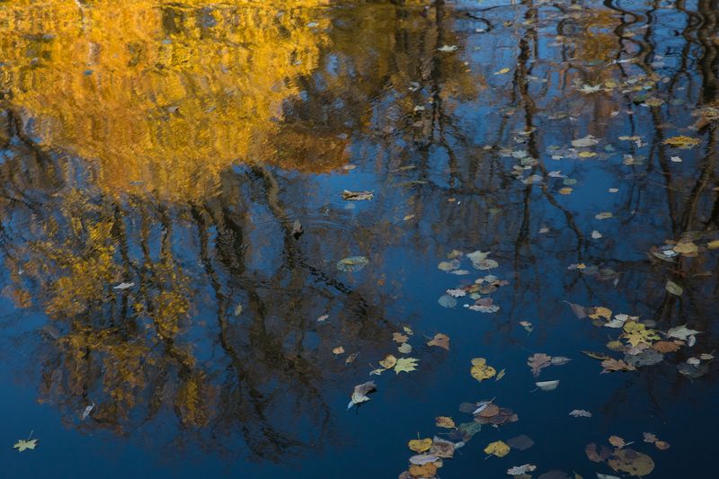 сень маслом рисовала фото превью