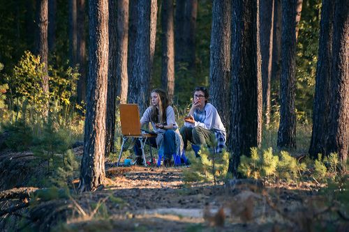 Когда деревья были большими …