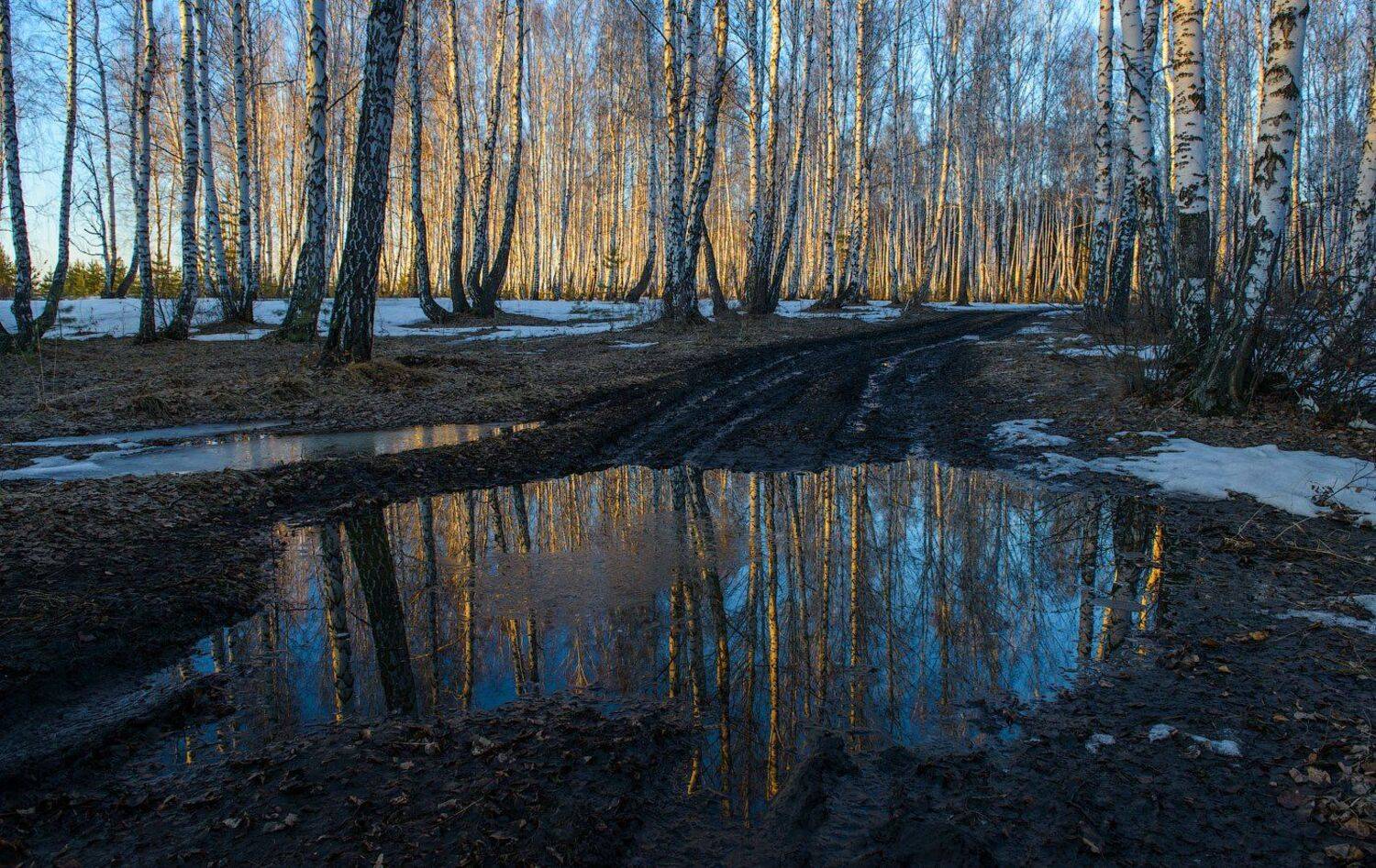 , Кутыгин Эдуард
