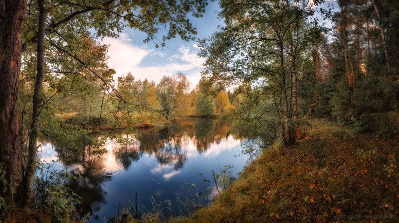 золотая - тихая... фото превью