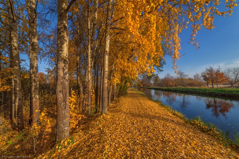 пейзаж, природа, путешествия, travel, wildlife, nature, landscape, canon, осень, autumn, colours *** фото превью