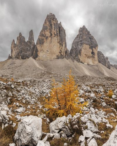 Tre Cime di Lavaredo. Dolomite