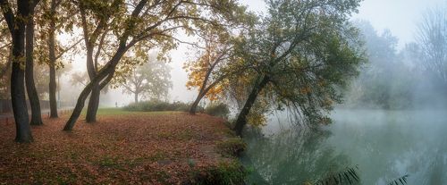 Былины кубанской осени.