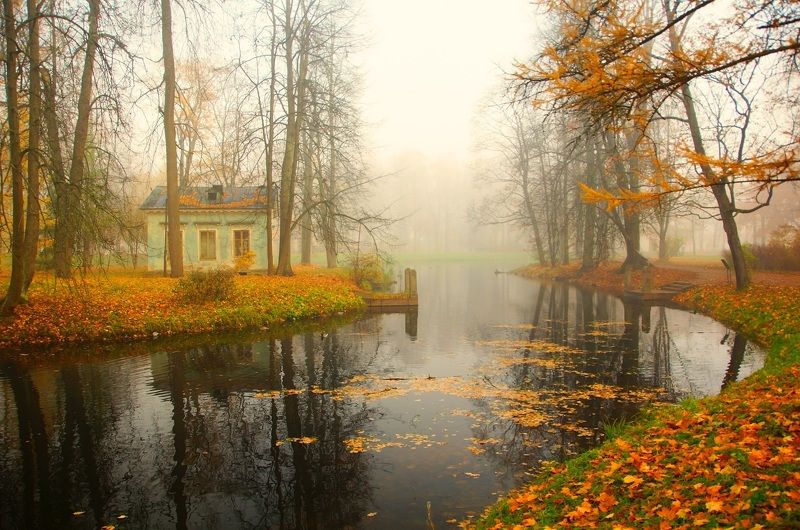 October morning фото превью