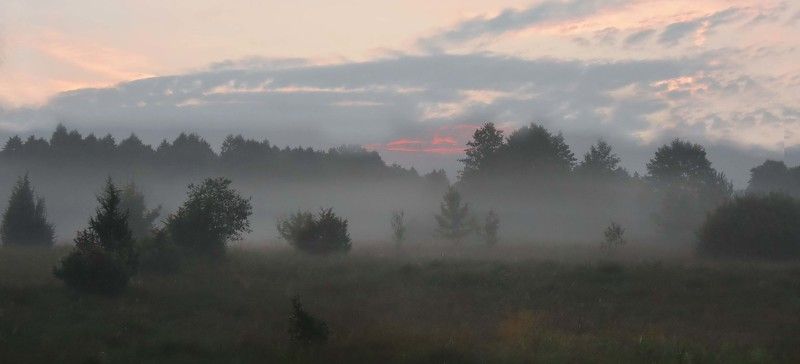 неман, рассвет, туман Утро на Немане фото превью