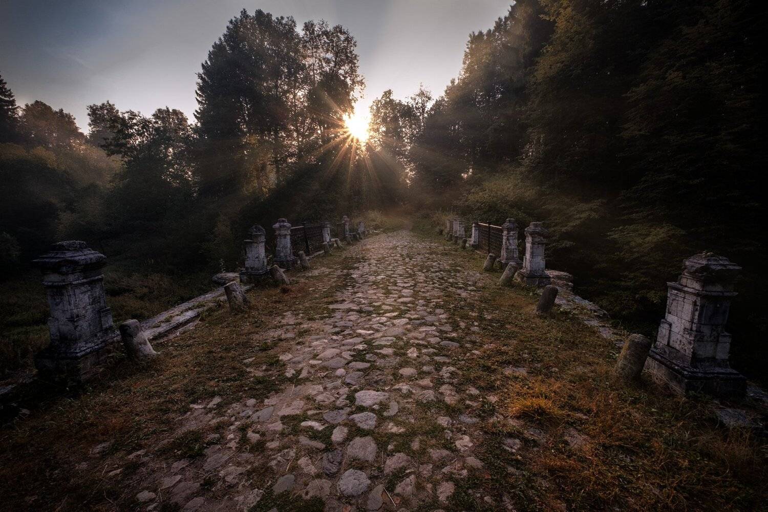 мост, чертов, середниково, лес, солнце, утро, Андрей Чиж