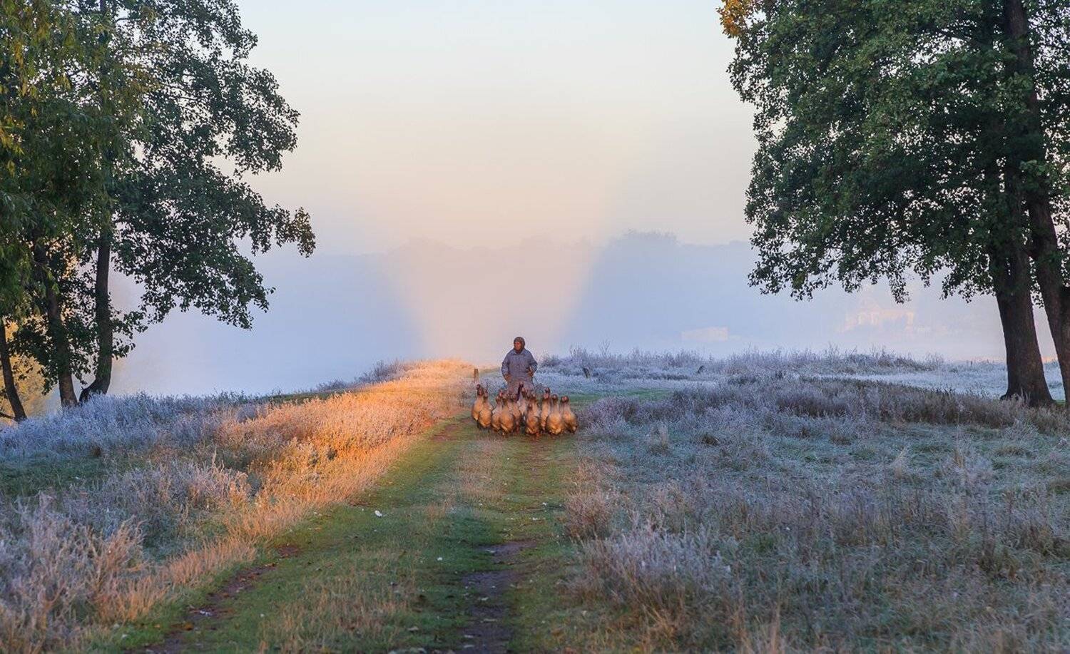 , Александр Подрез