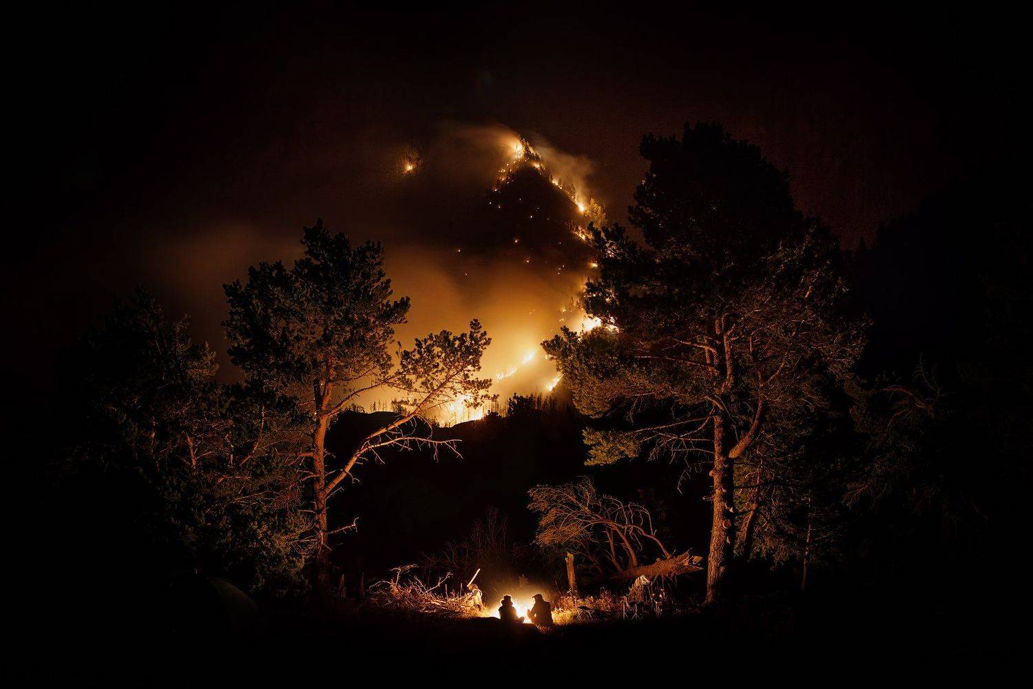 пожар, лес, ночь, костер, сосны, инь, ян, Малафеева Елена