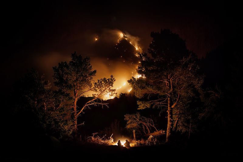 пожар, лес, ночь, костер, сосны, инь, ян Инь-Ян фото превью