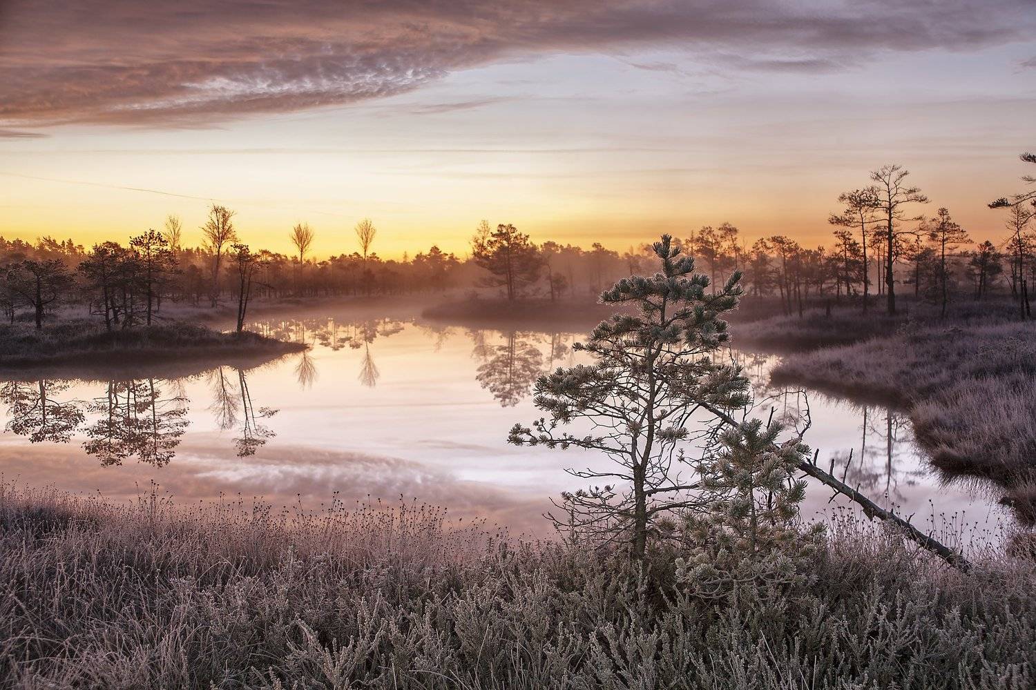 болото снег утро, Aleksandr