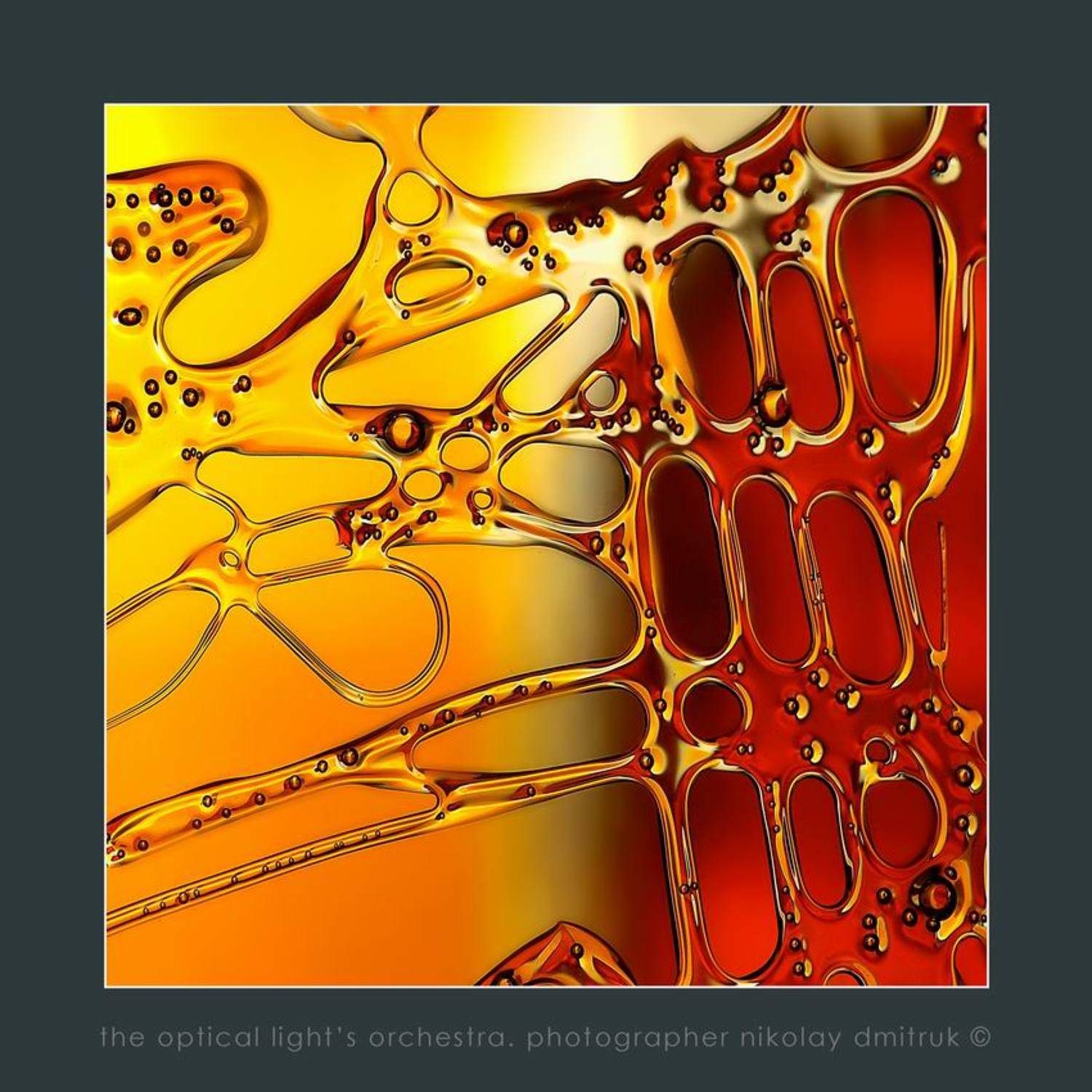 без, категории, николай дмитрук