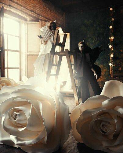 Paper World