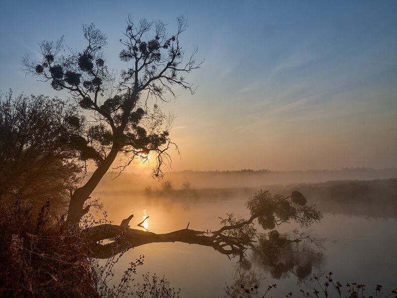 На восходе фото превью