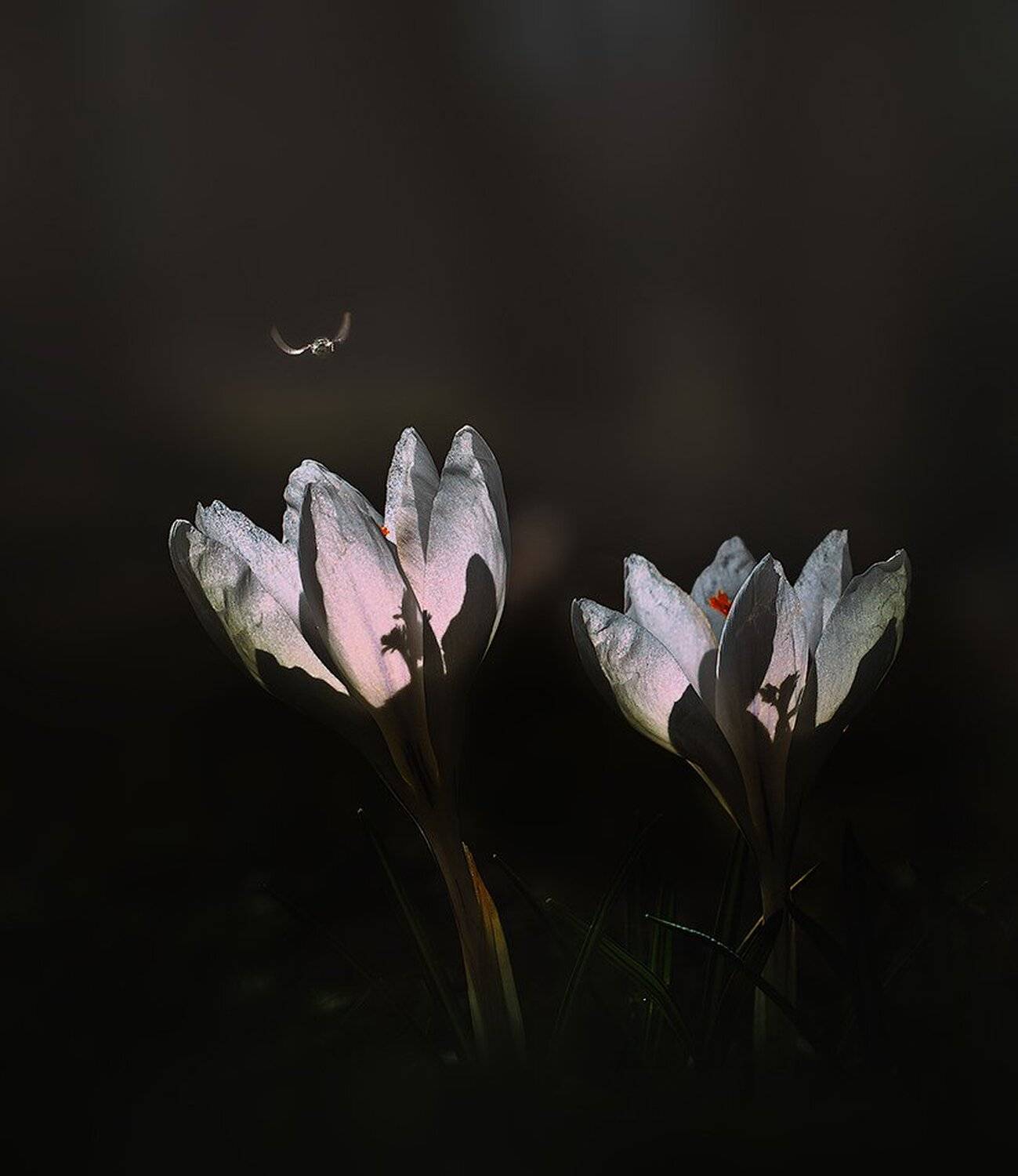 macro,макро, Евгений Лукашук