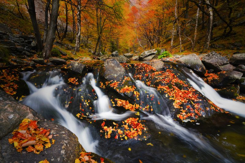 Золотая осень.... фото превью