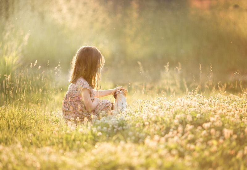 дружба, лето Дружба фото превью