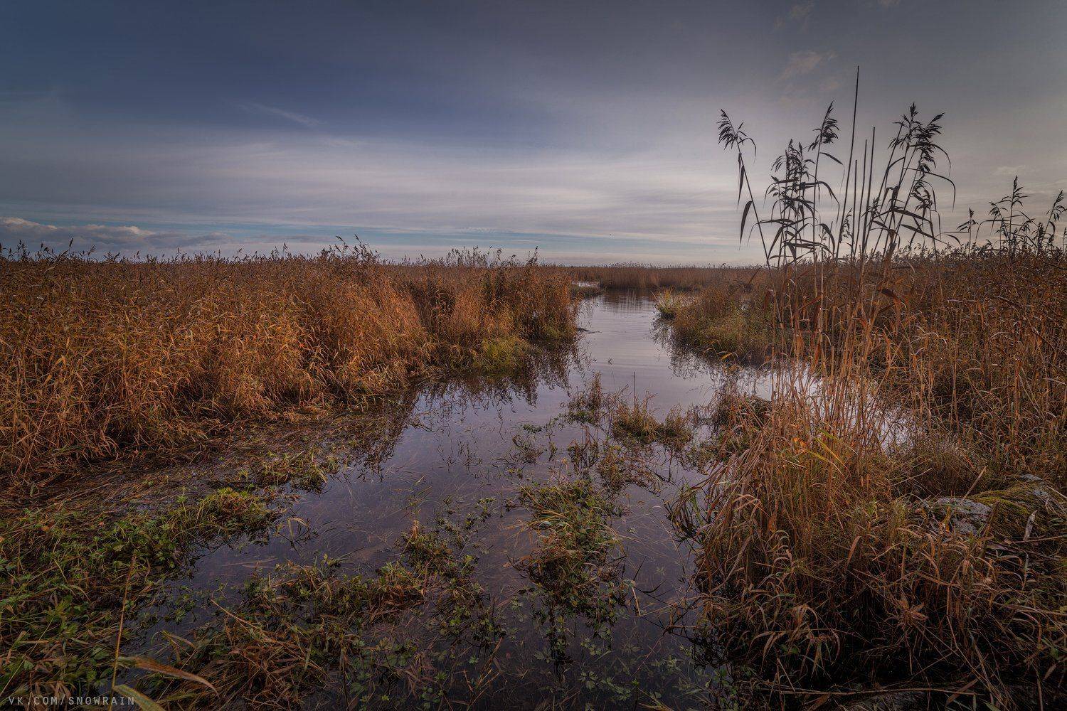 пейзаж, природа, путешествия, travel, wildlife, nature, landscape, canon, осень, autumn, colours, Snowrain