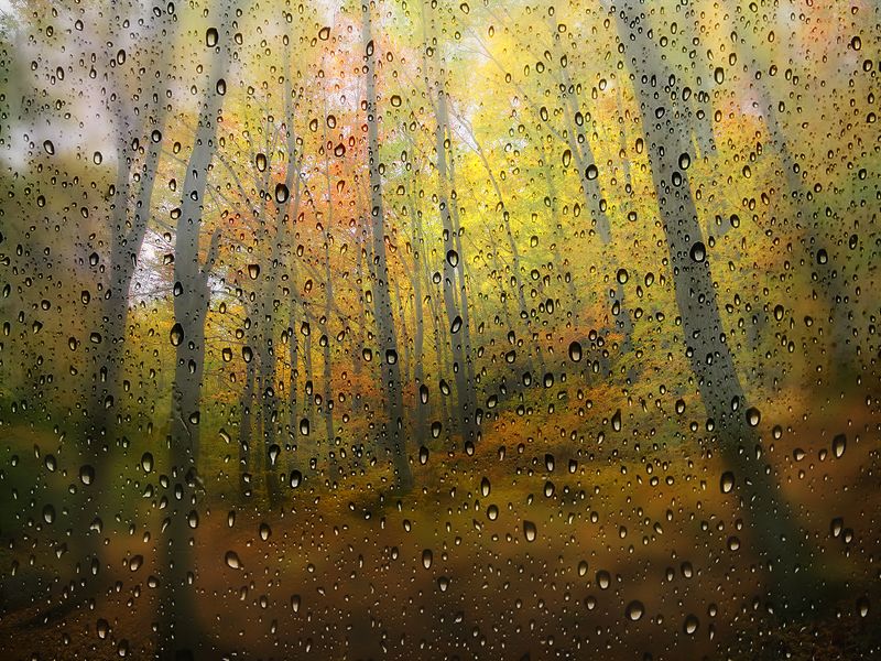 * фото превью