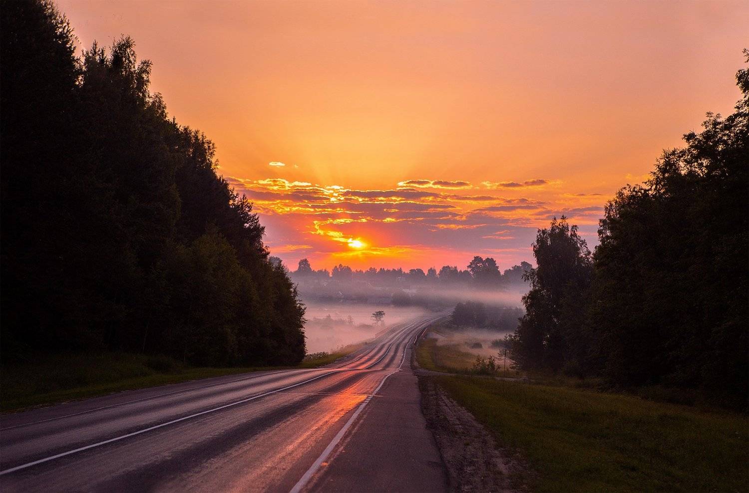 туман, россия, иваново, Лежнево, солнце, свет, Воробьёв Евгений