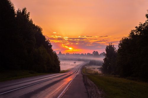 Дорожный туман