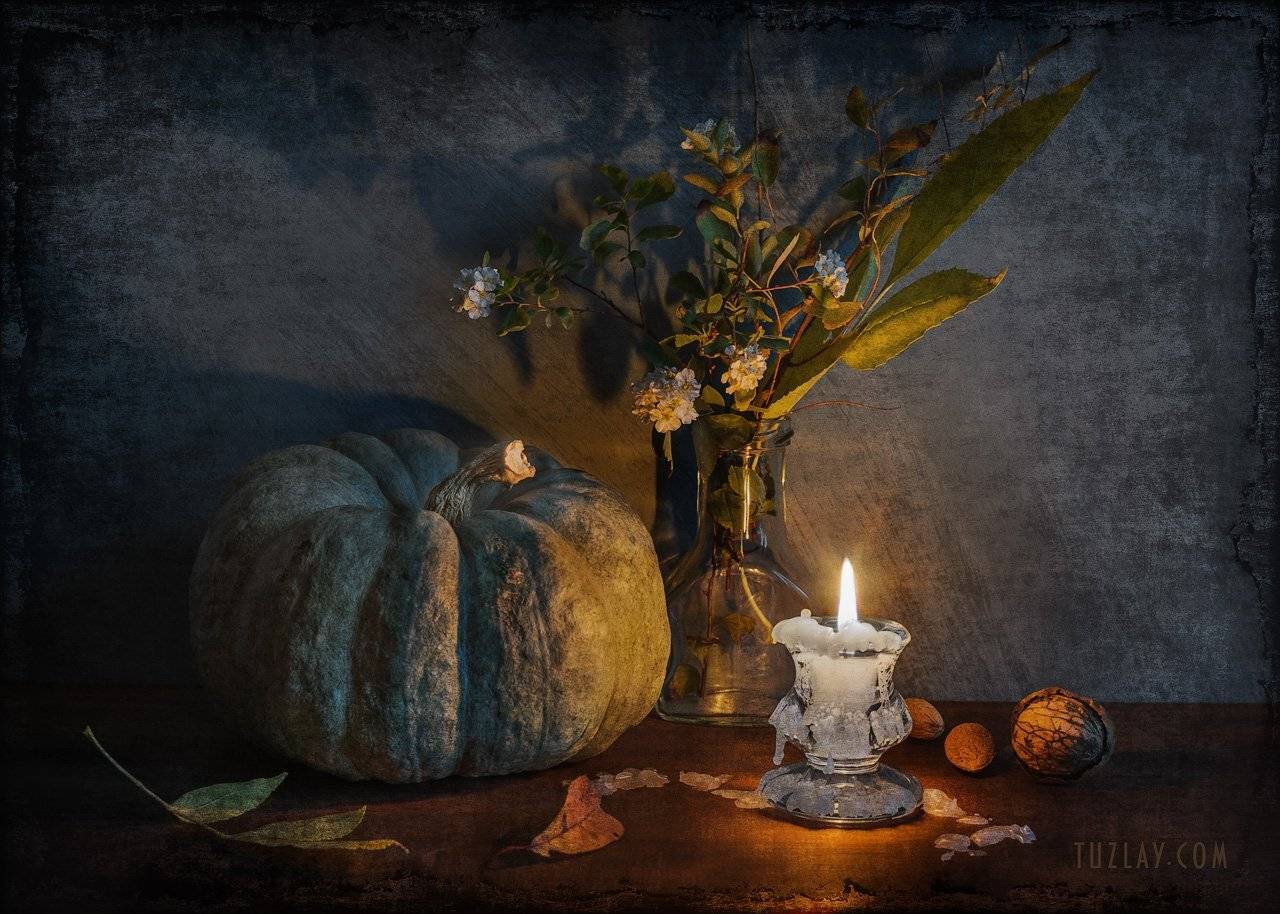 тыква, осень, спирея, тыквы, бутылёк, Владимир Тузлай