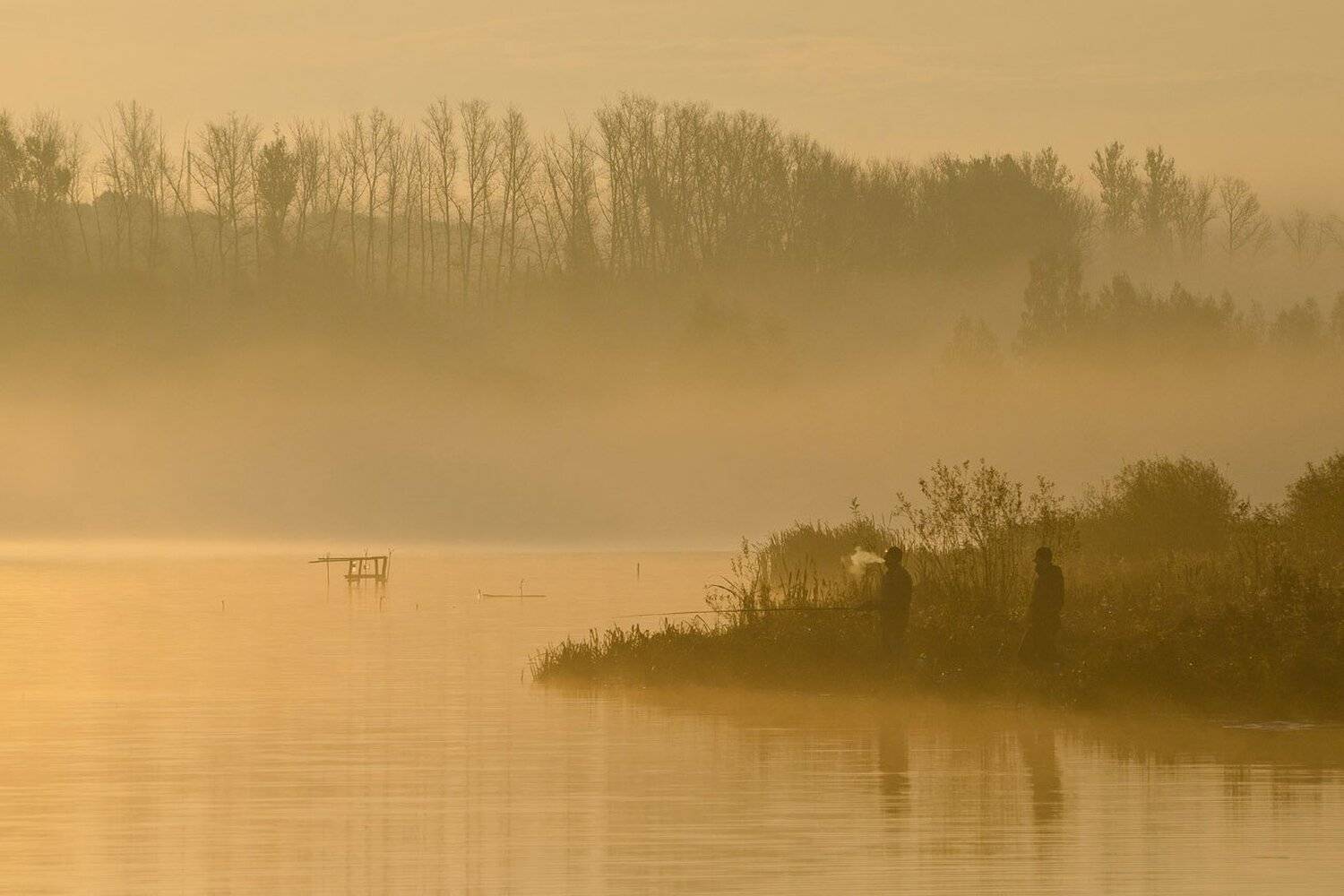 утро, туман, рыбалка, рыбаки, архангельское, Михаил Агеев