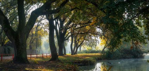 Былины кубанской осени.