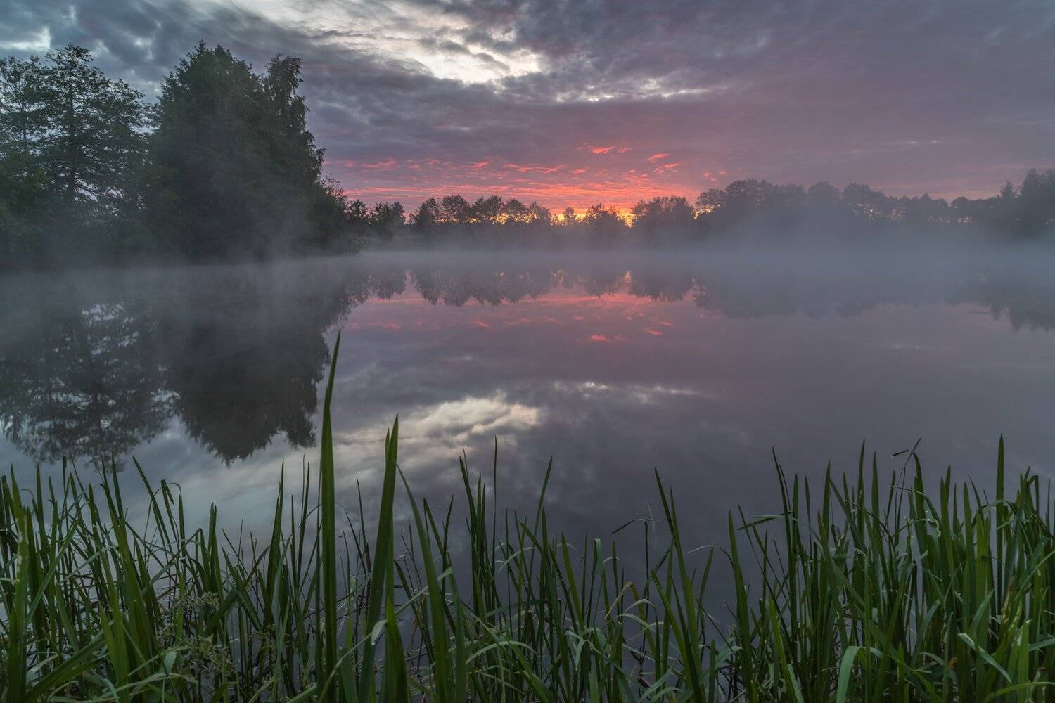 утро, рассвет, озеро, туман, Евгений Патрешов