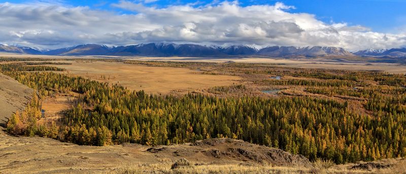 Курайские просторы... фото превью