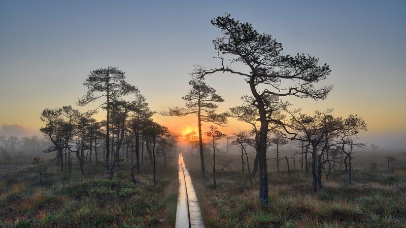 Safi фото превью